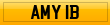 AMY 1B