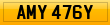 AMY 476Y