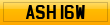 ASH 16W