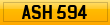 ASH 594