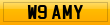 W9 AMY